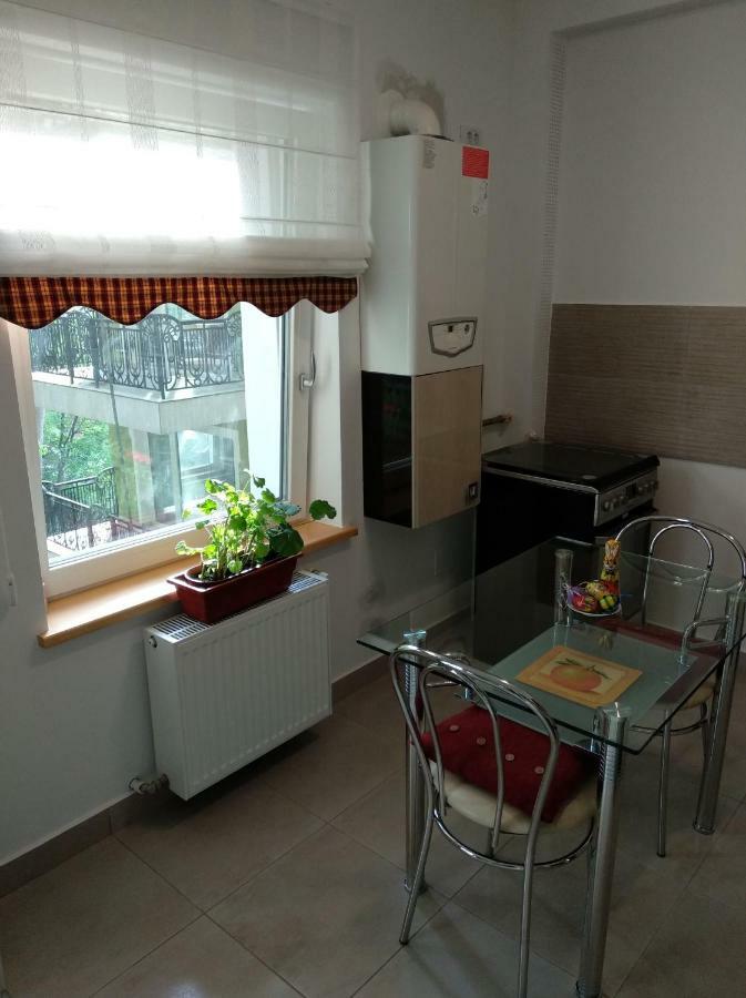 Апартаменти Apartament Ramona Брашов Екстер'єр фото