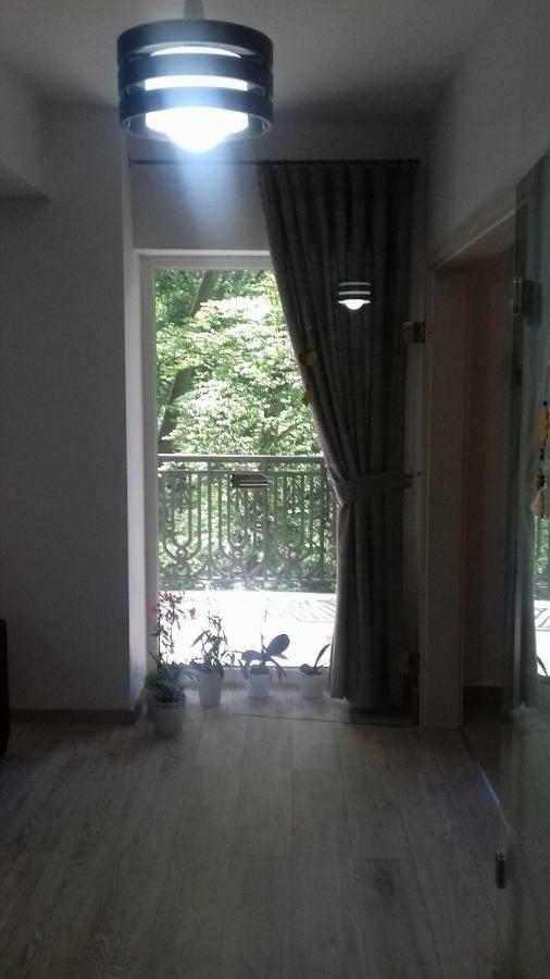 Апартаменти Apartament Ramona Брашов Екстер'єр фото